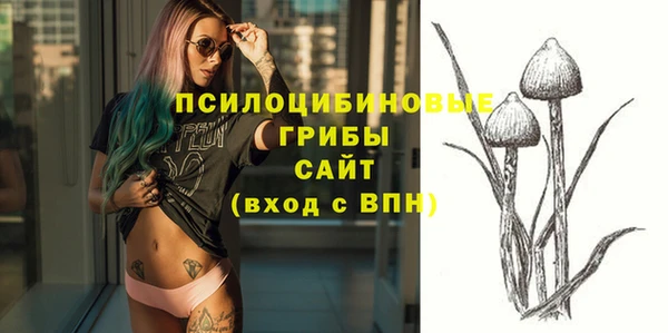 2c-b Липки