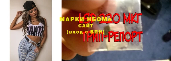 амфетамин Лабытнанги