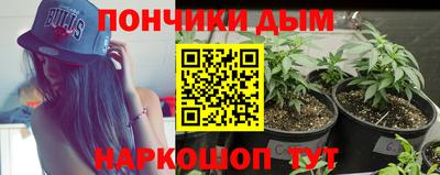 шишки Абакан