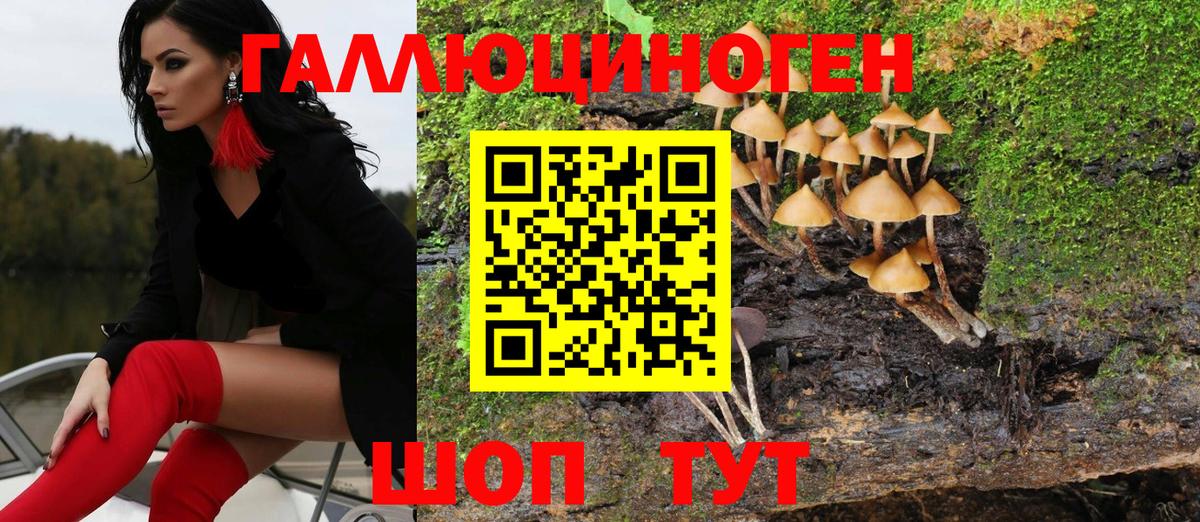 Псилоцибиновые грибы ЛСД Мыски