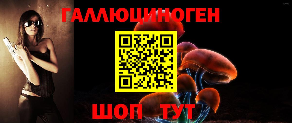 Мыски  Псилоцибиновые грибы GOLDEN TEACHER  Вход с VPN 